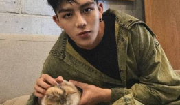 男主播吃瓜娱乐圈,男主播带你领略娱乐圈风云变幻